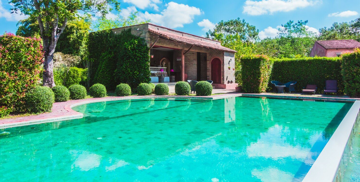 lagoon shape pool