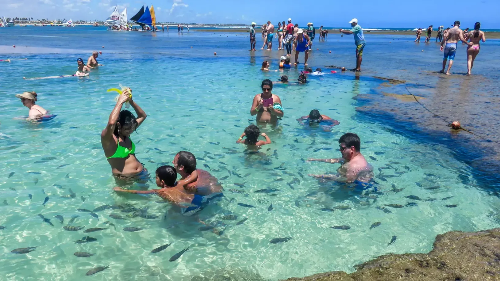 Um grupo de pessoas está nadando no oceano cercado por peixes. Coralli Pousada