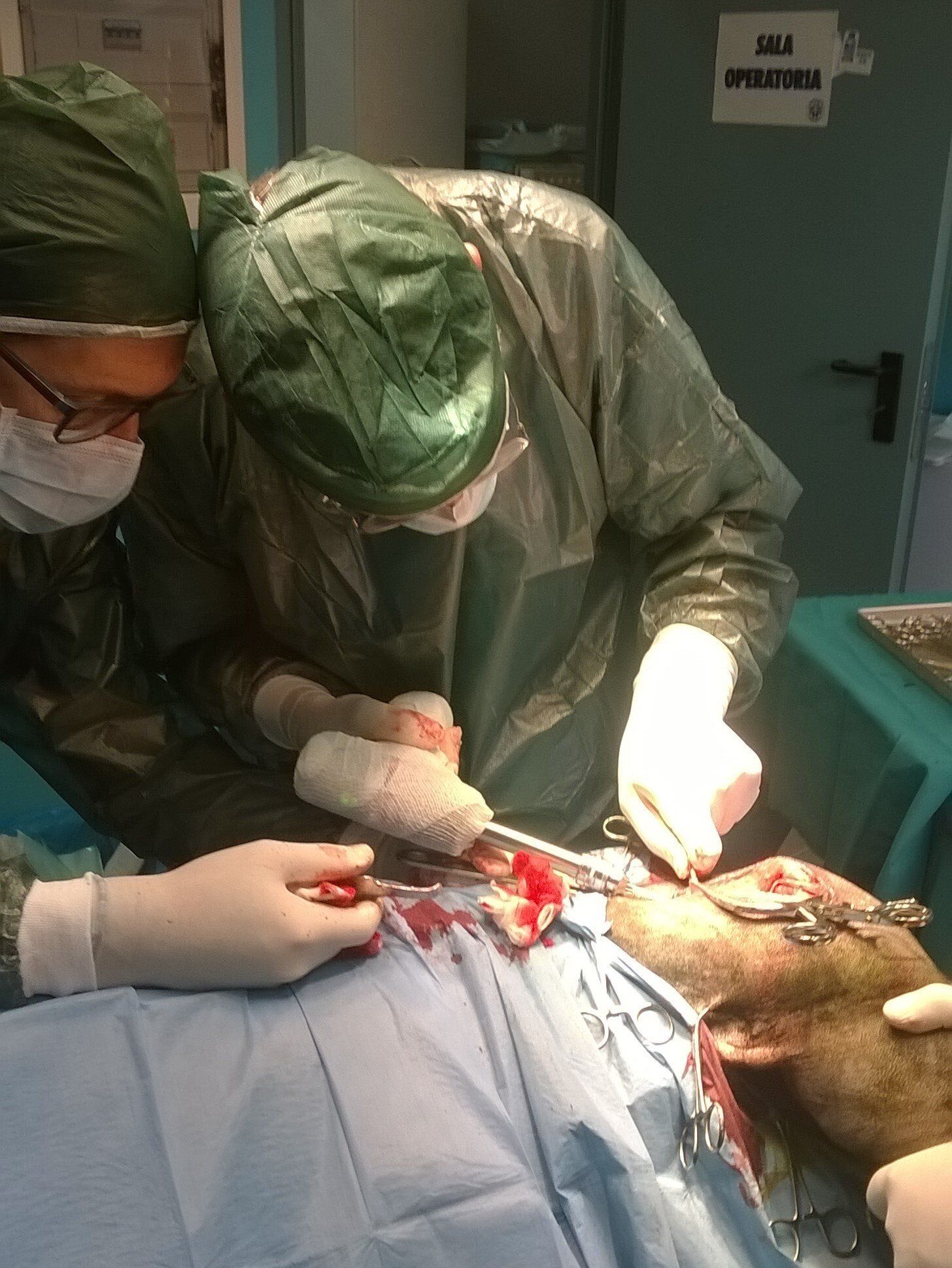 pronto soccorso