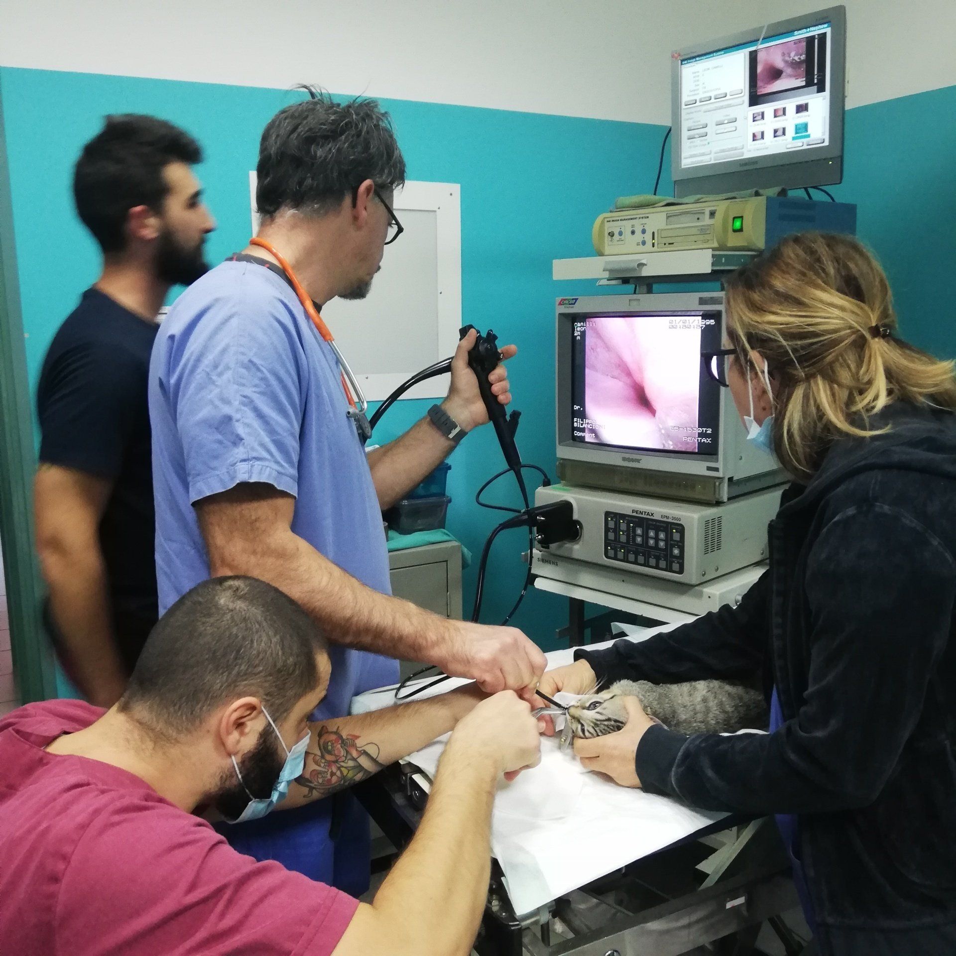 endoscopia
