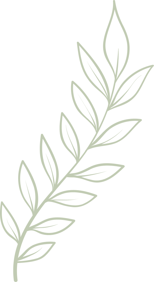 A simple line drawing of a leafy branch in soft sage green on a white background.