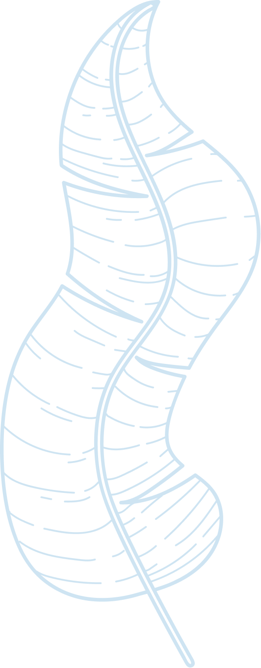 A simple line drawing of a curved, tropical banana leaf in soft, muted blue against a white background.