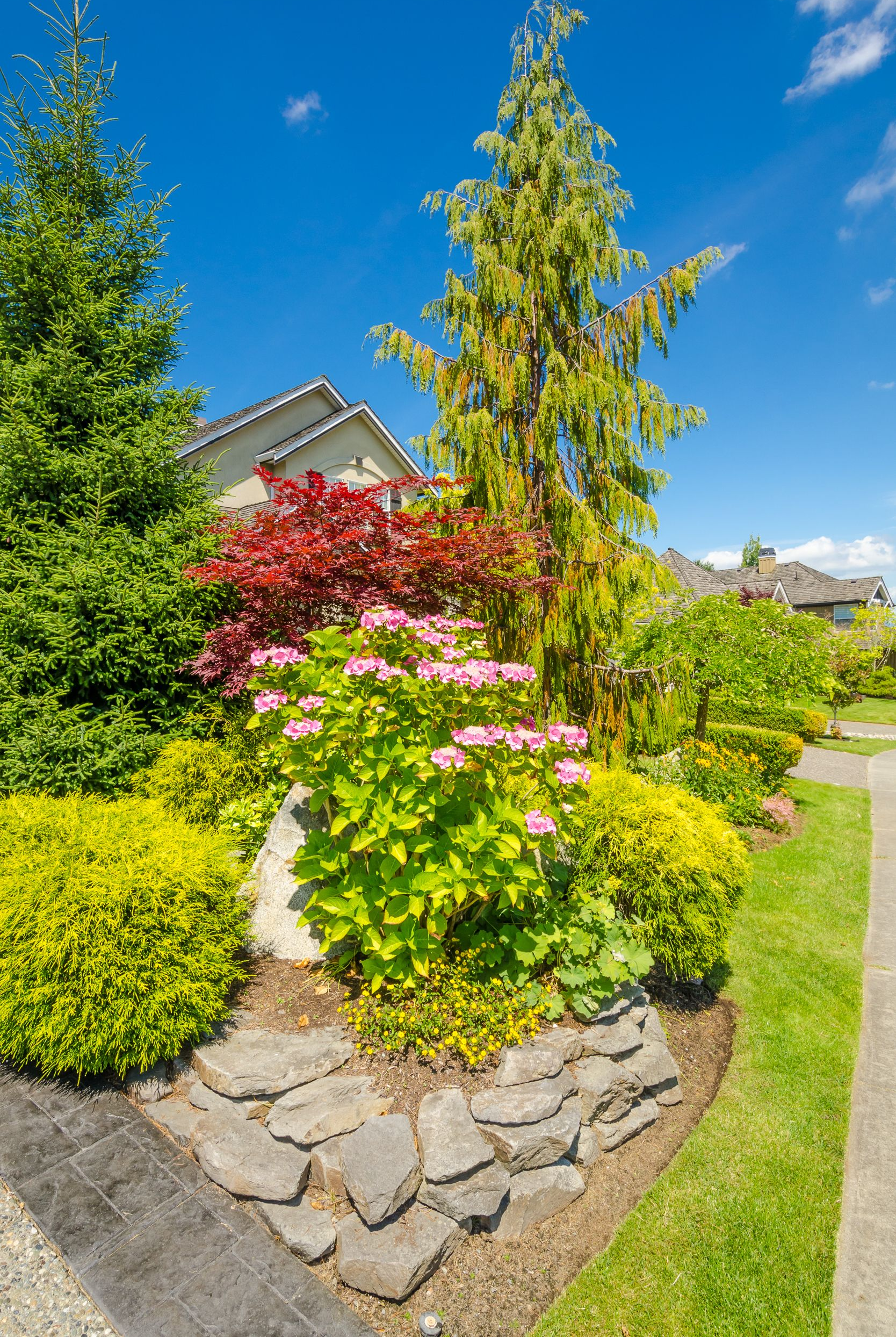 A garden bed featuring vibrant pink flowers, bright green bushes, a red-leafed shrub, and tall trees against a blue sky.