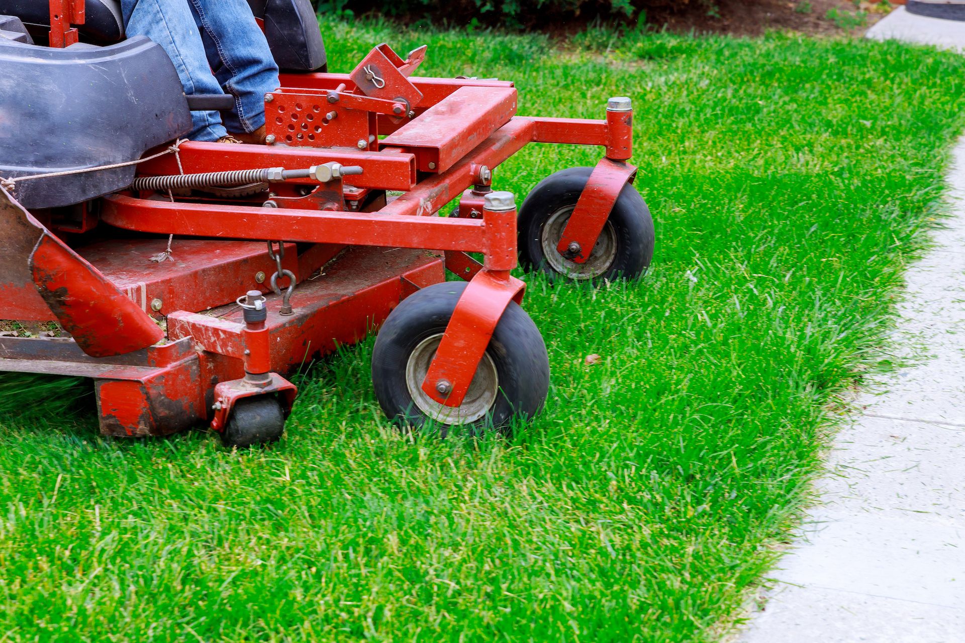 A red zero-turn mower moves along a grass lawn next to a paved walkway.