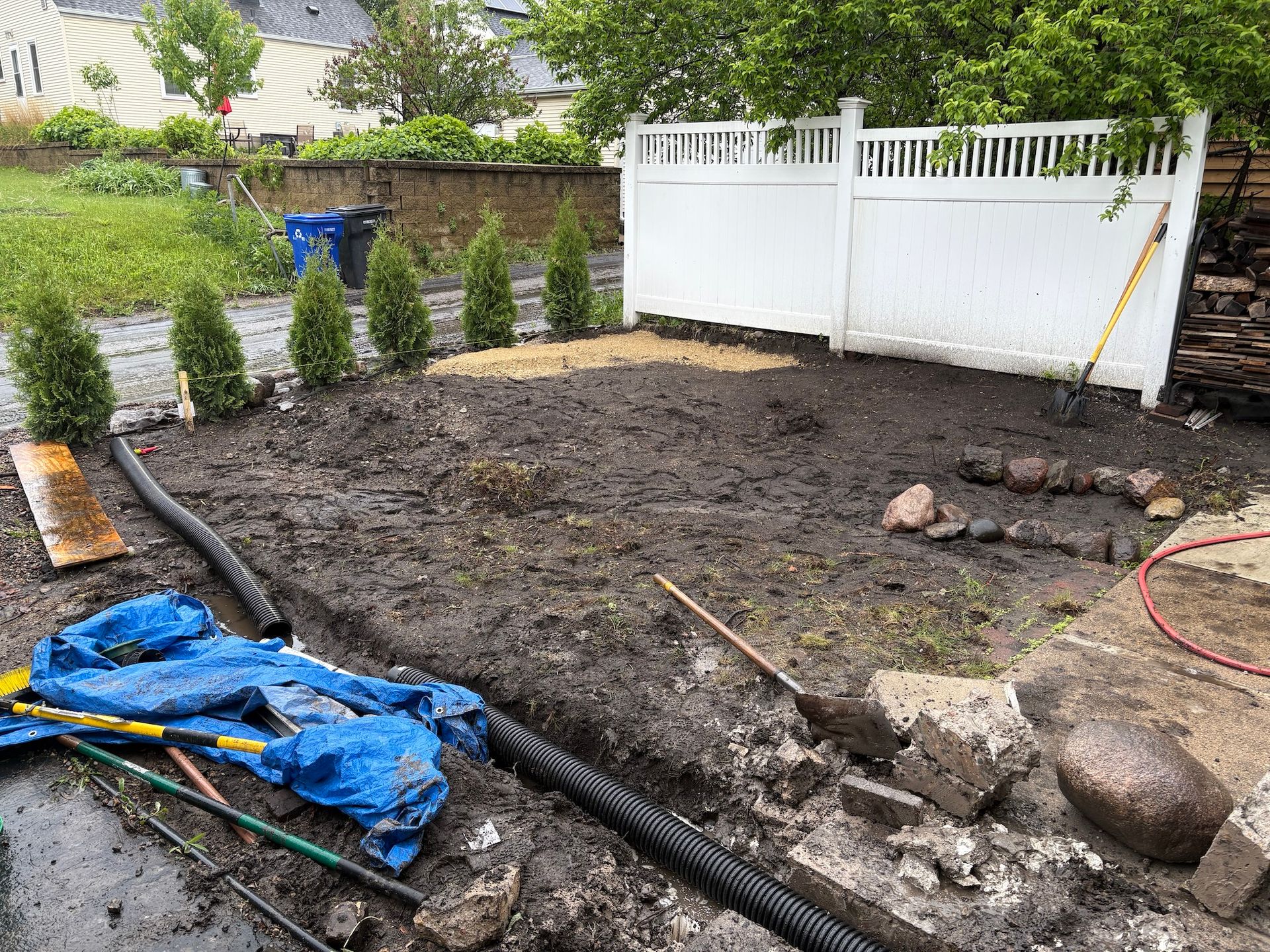 A muddy backyard under construction with a white fence, a line of small evergreen shrubs.