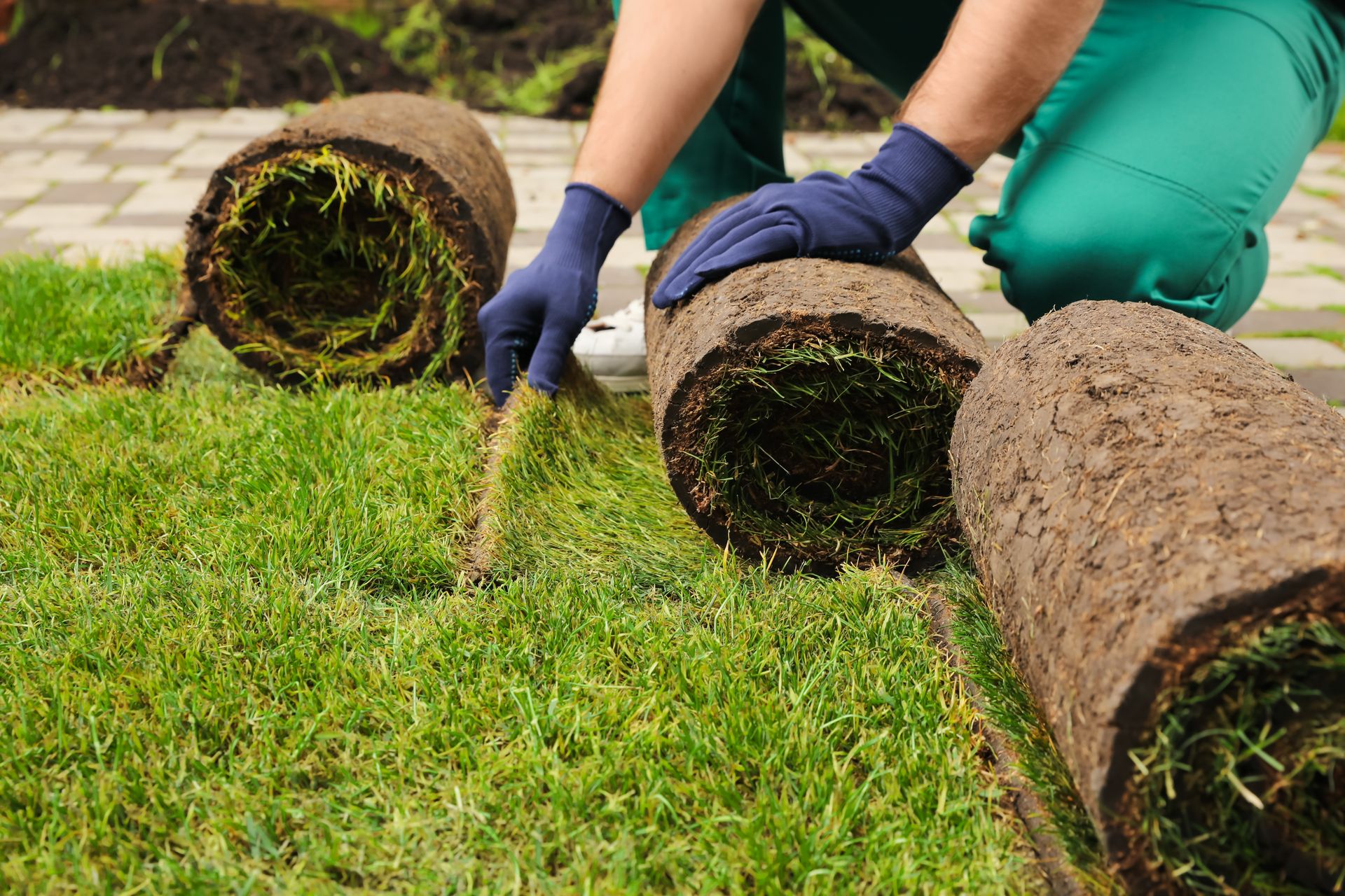A gardener wearing blue work gloves rolls out a strip of green sod onto a landscaped surface.