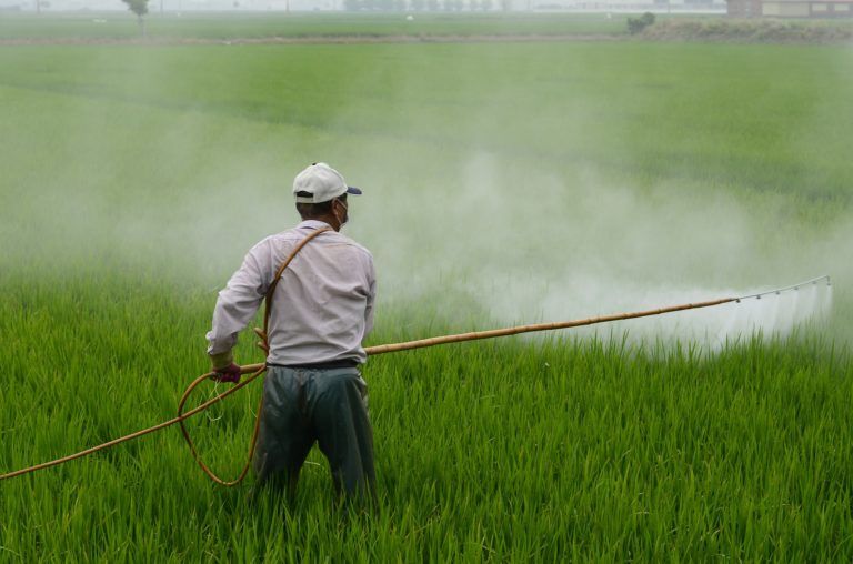 Roundup Lawsuits-Non-Hodgkin’s Lymphoma