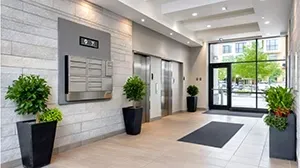 A bright apartment lobby with a wall-mounted mailbox, two elevators, potted greenery, and glass doors leading outside.
