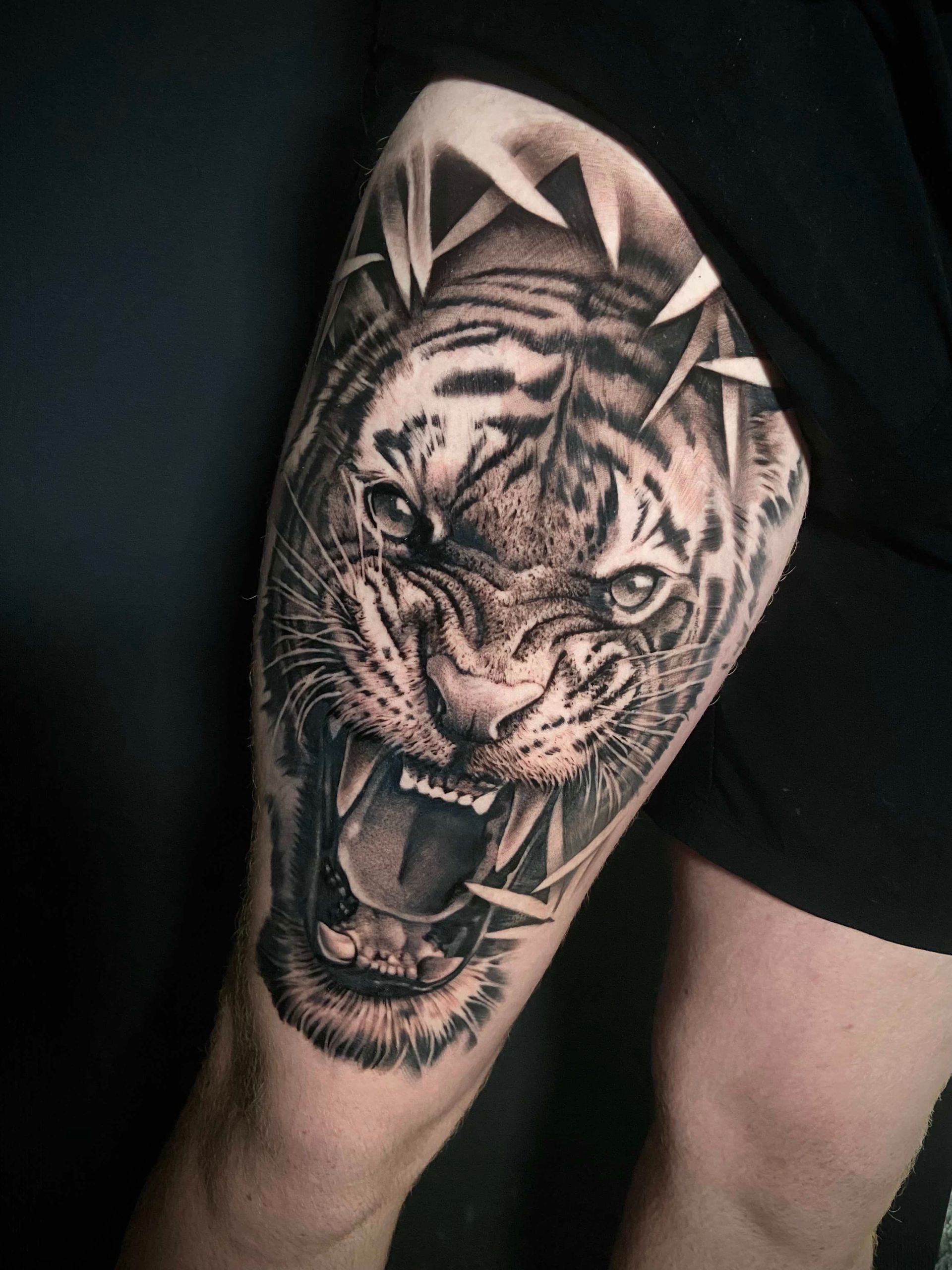 Black and grey tattoo of a snarling tiger's face on a leg. Sharp teeth are visible; set against a dark background.