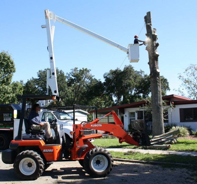Tree Service Team — Sorrento, FL — Windsor & Son Tree Service Tree Service Team — Sorrento, FL — Windsor & Son Tree Service