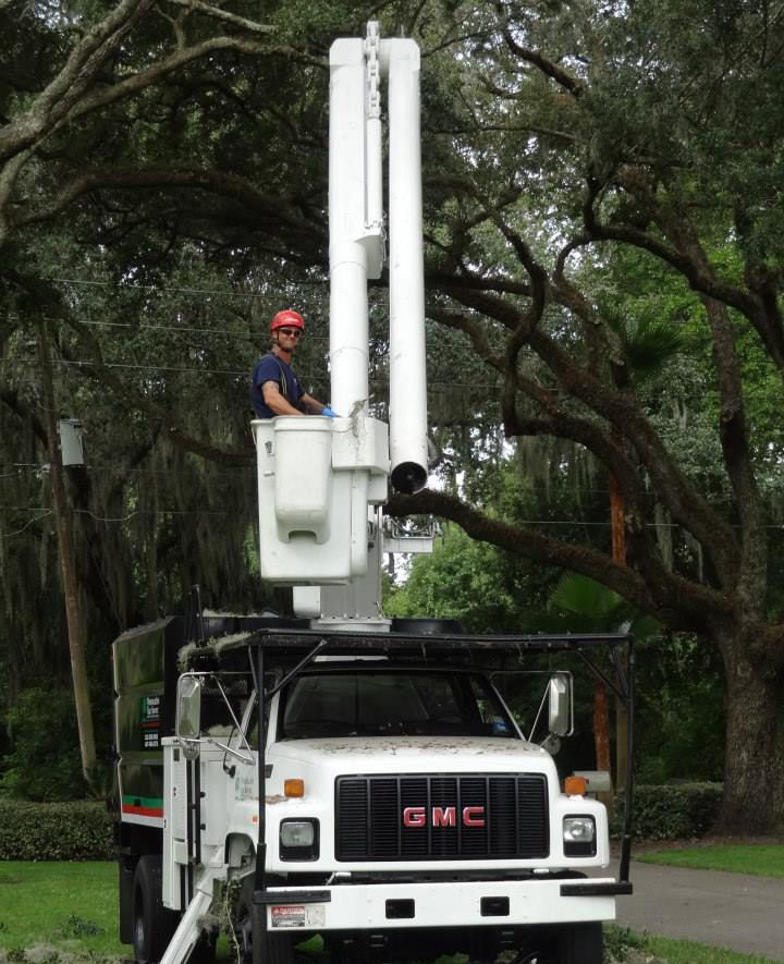 Man Cabling — Sorrento, FL — Windsor & Son Tree Service Man Cabling — Sorrento, FL — Windsor & Son Tree Service