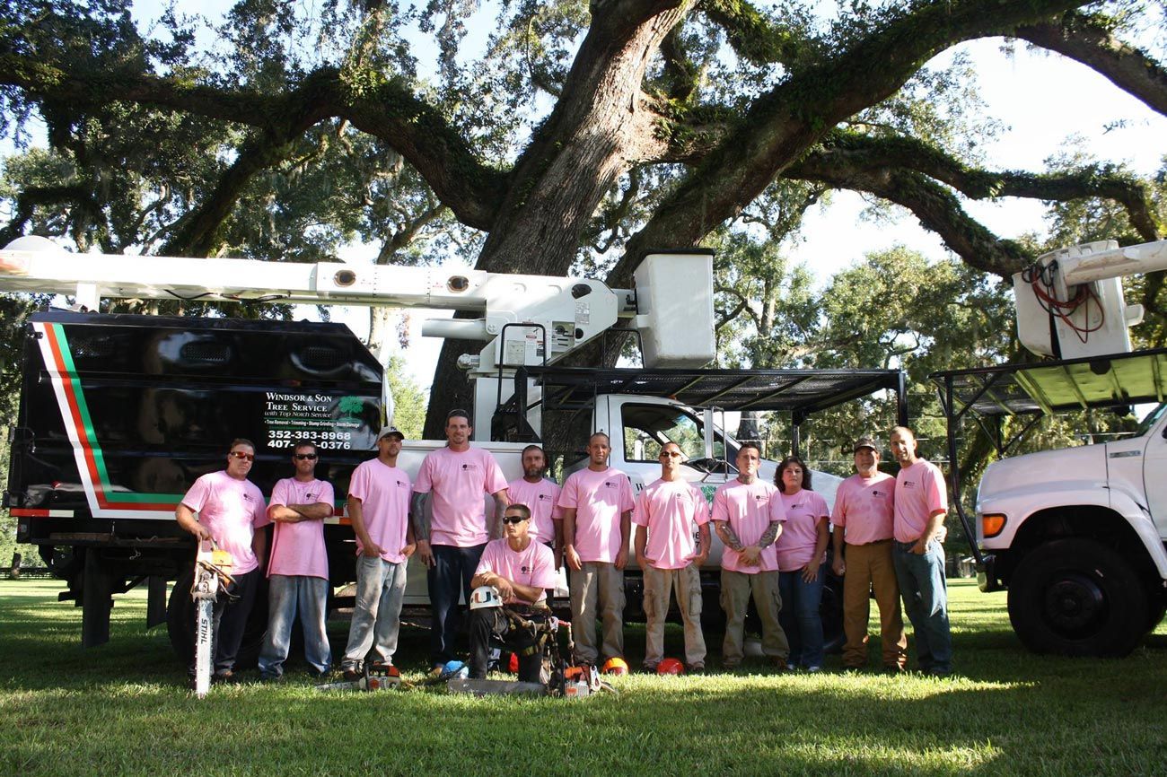 Tree Service Team — Sorrento, FL — Windsor & Son Tree Service