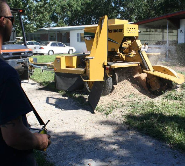 Man Stump Grinding — Sorrento, FL — Windsor & Son Tree Service Man Stump Grinding — Sorrento, FL — Windsor & Son Tree Service