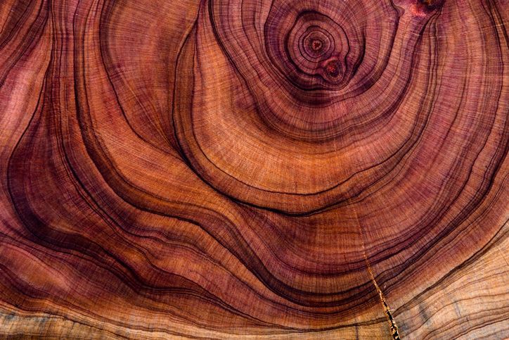 foto legno porte commerciale 3