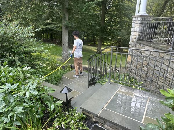 A man is watering plants in a garden with a hose.