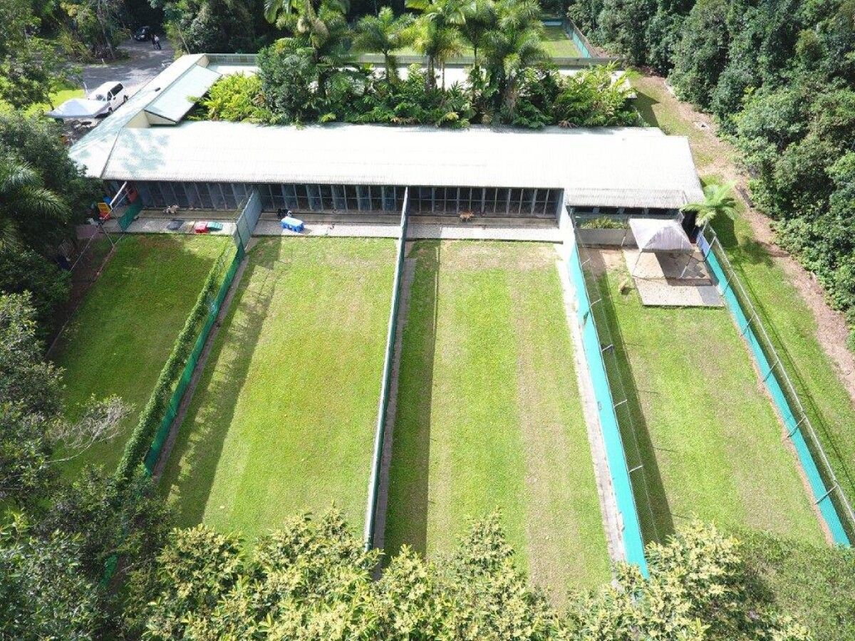 Aerial View of a Long, White-roofed Building With Several Grassy Enclosures — Kuranda Pet Resort in Kuranda, QLD