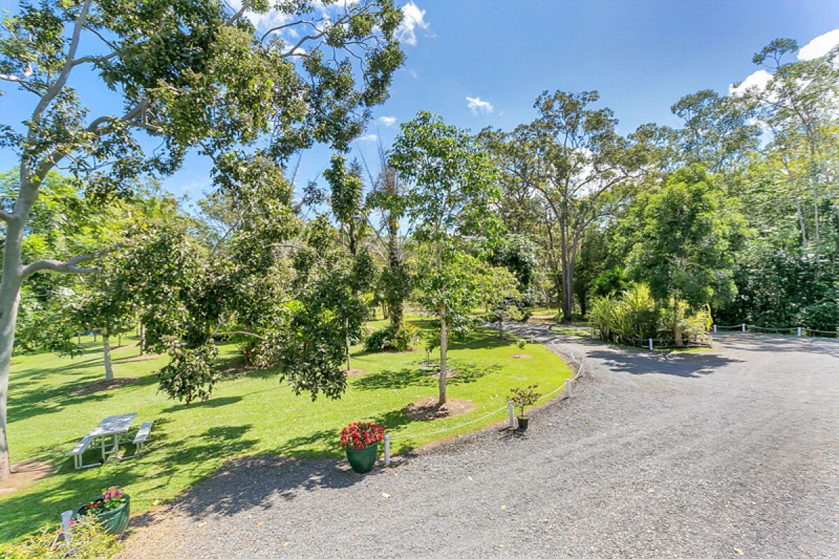 Gravel Driveway Curves Through Grassy Yard With Trees Under a Bright Blue Sky — Kuranda Pet Resort in Kuranda, QLD
