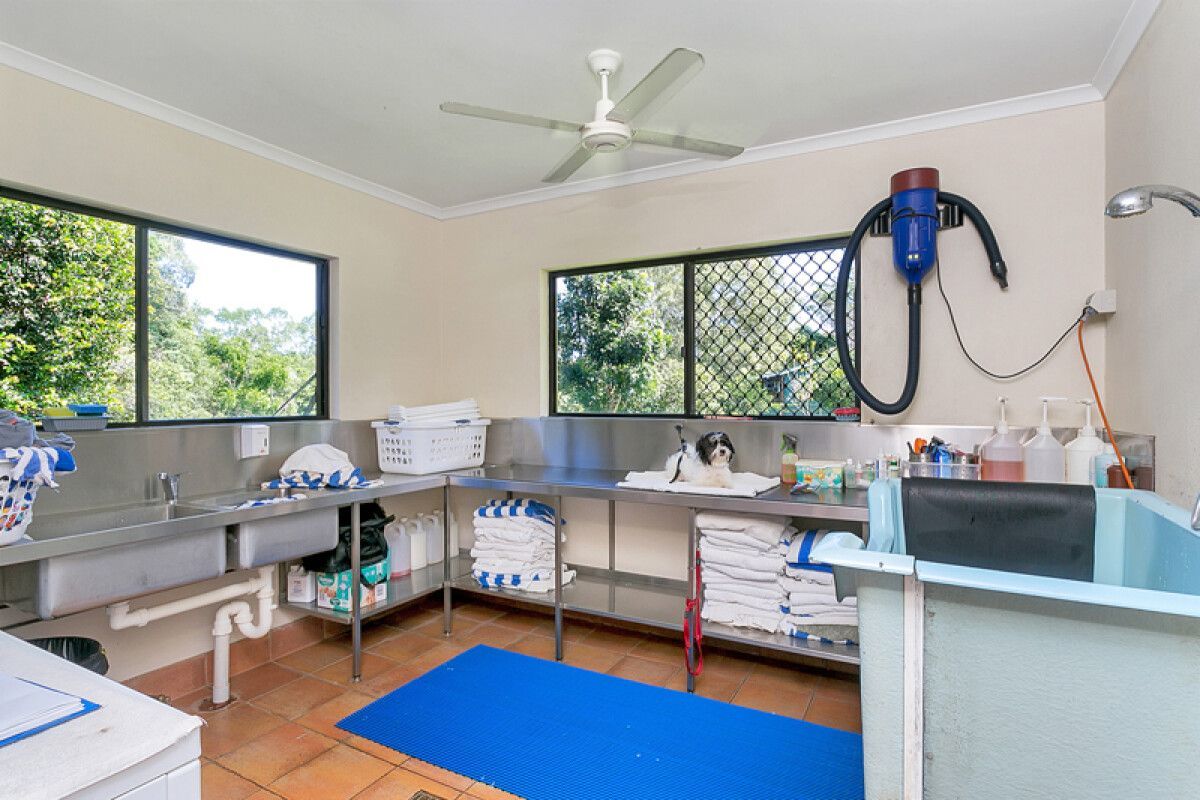 Dog Grooming Room With Stainless Steel Sinks, a Blue Mat — Kuranda Pet Resort in Kuranda, QLD