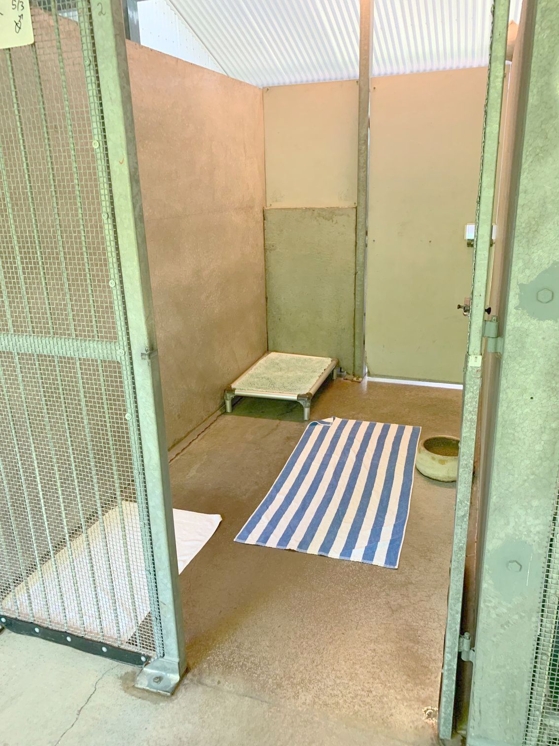 Dog Bathing — Kuranda Pet Resort in Kuranda, QLD