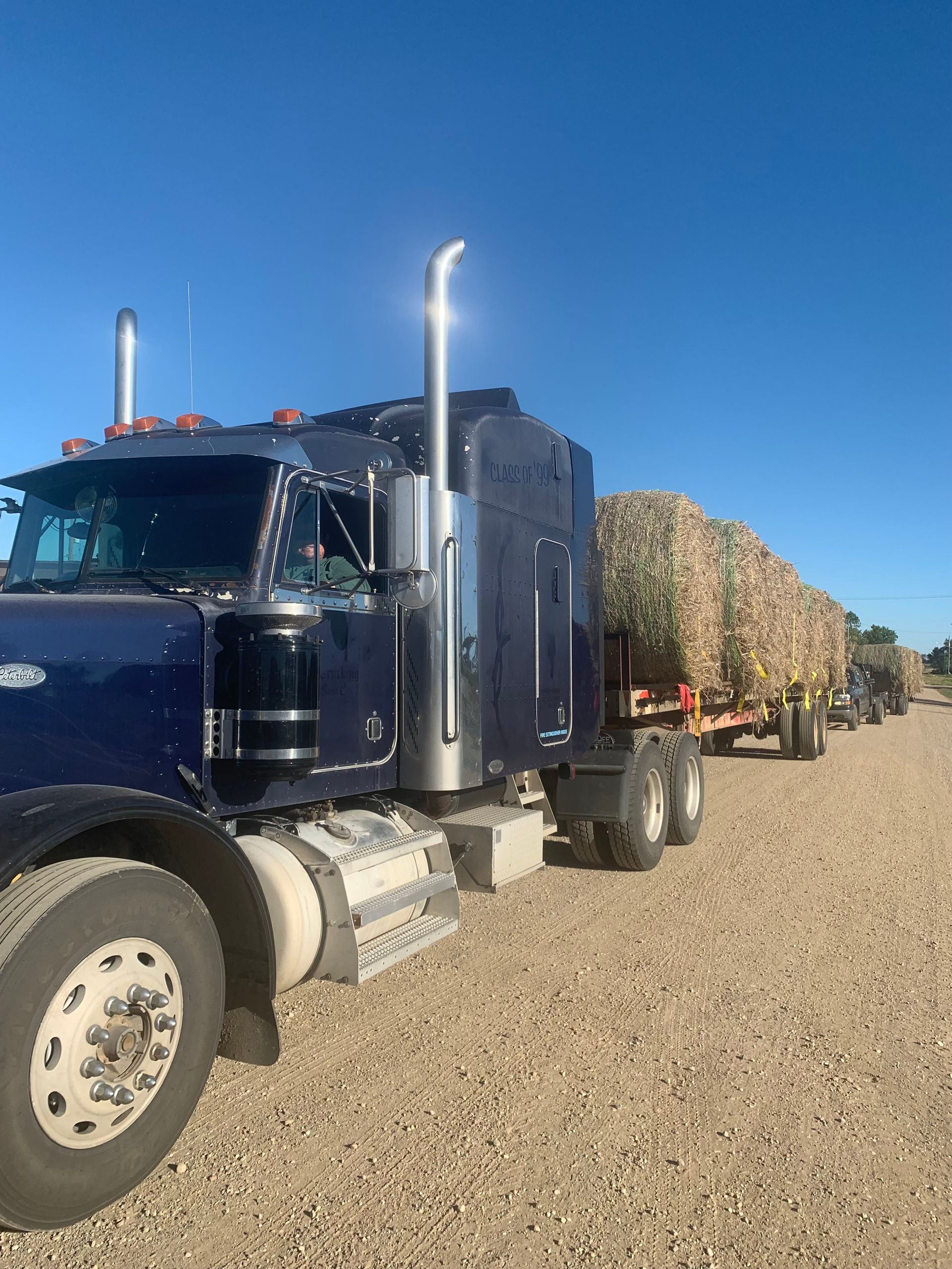 Bulk Hemp Hurd