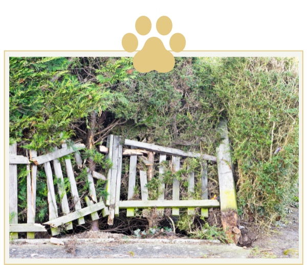 a picture of a broken wooden fence with trees in the background