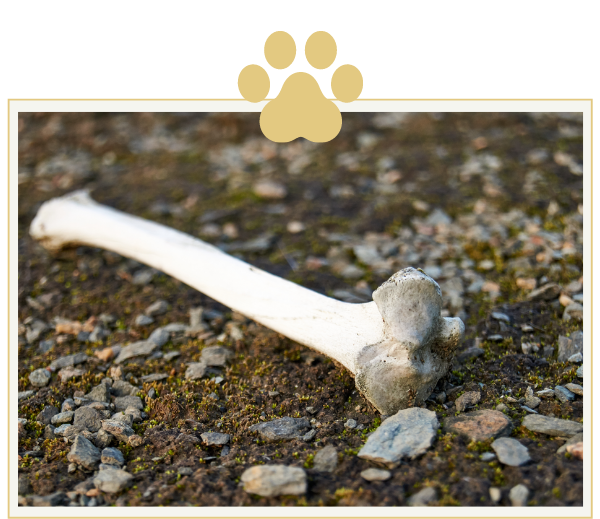 a dog bone is laying on the ground next to a paw print .