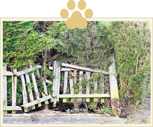 broken-fence