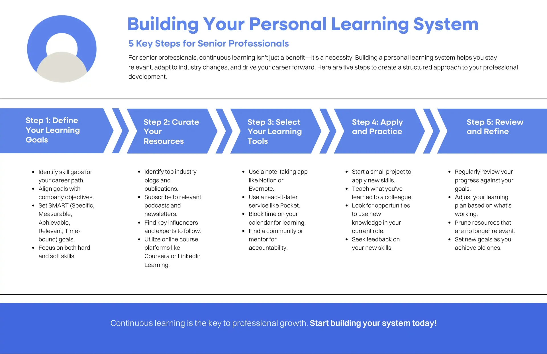 How To Build Your Senior Level Professional Learning System Infographic