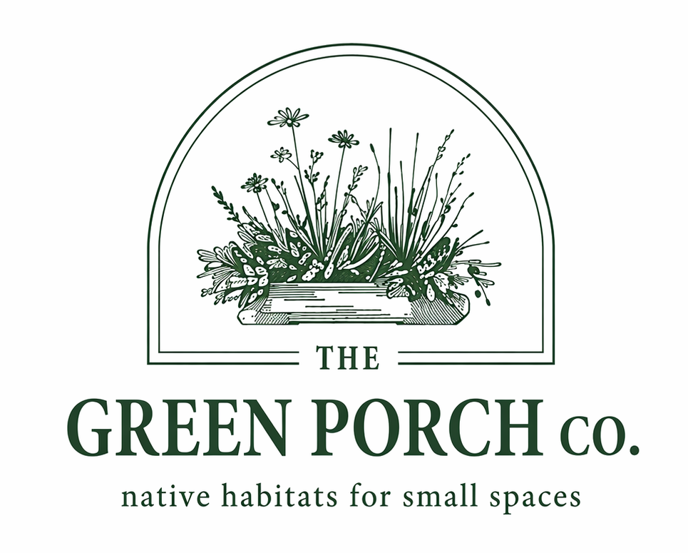 Two containers on a porch with native plants. The Green Porch Co Sunny Space Guide for native plants in full sun container gardens.