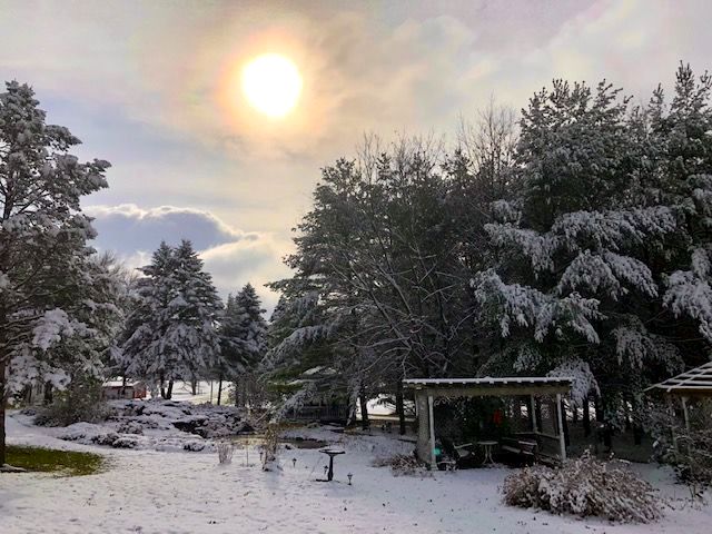 A snowy forest with trees covered in snow and the sun shining through the clouds.