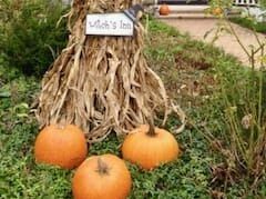 A scarecrow is sitting in the grass next to three pumpkins.