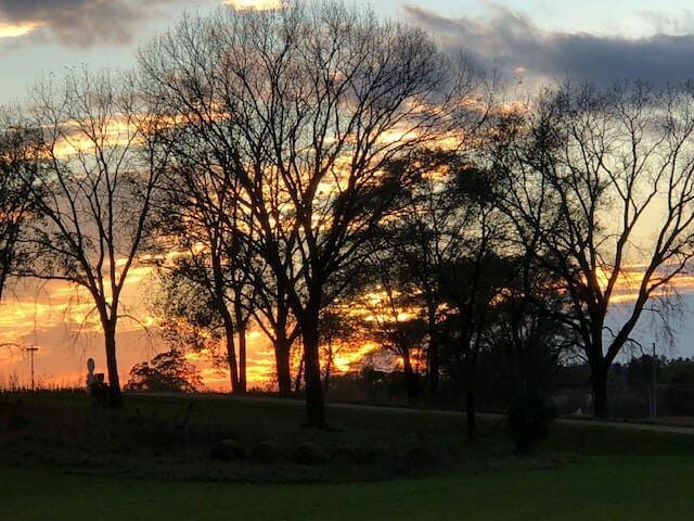 A sunset over a field with trees in the foreground