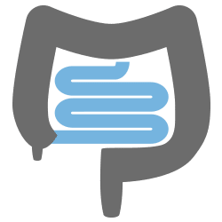 DR. CUAUHTÉMOC MORFÍN F