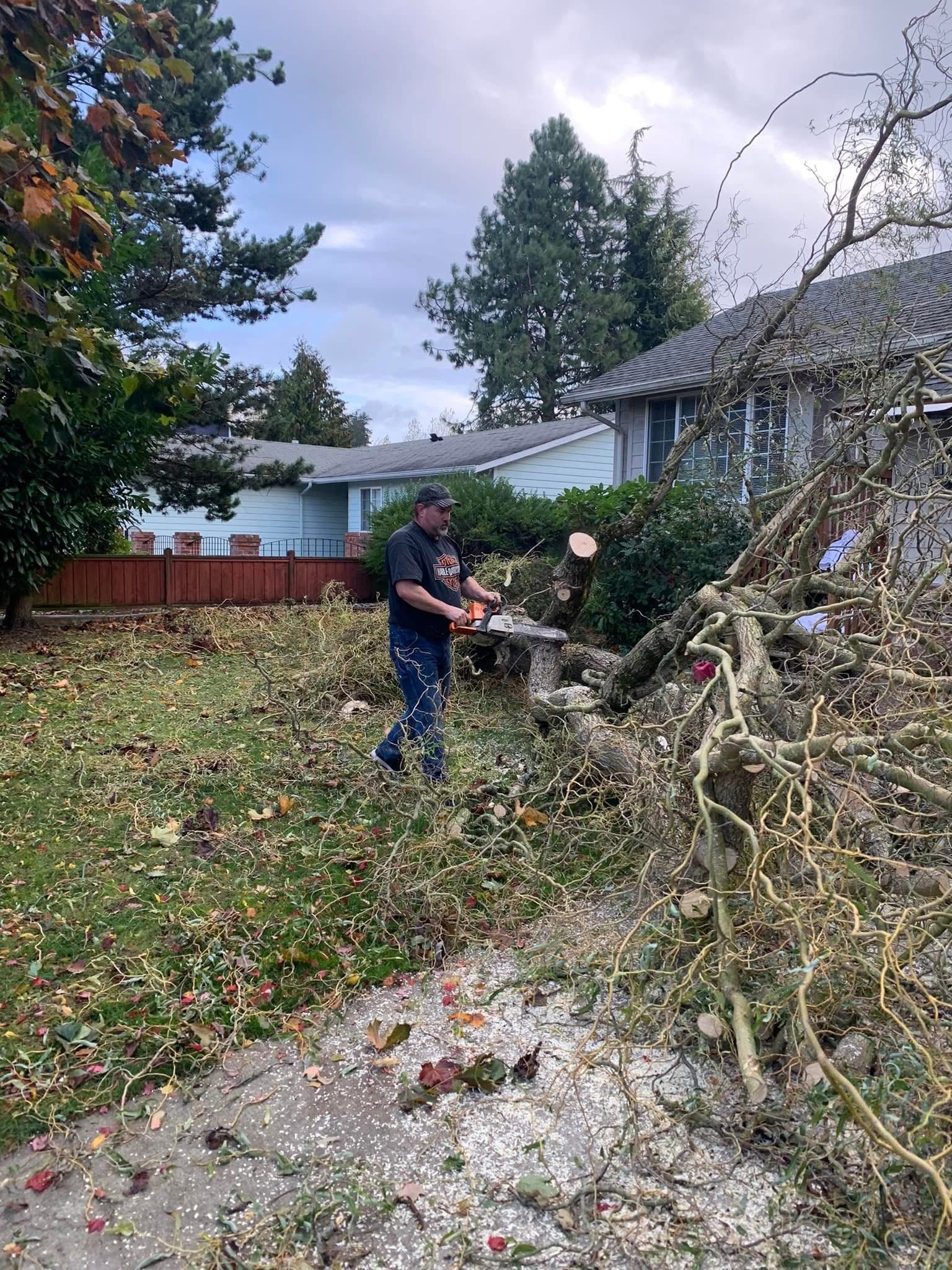 Person cutting fallen tree limbs in a backyard with a chainsaw after storm cleanup