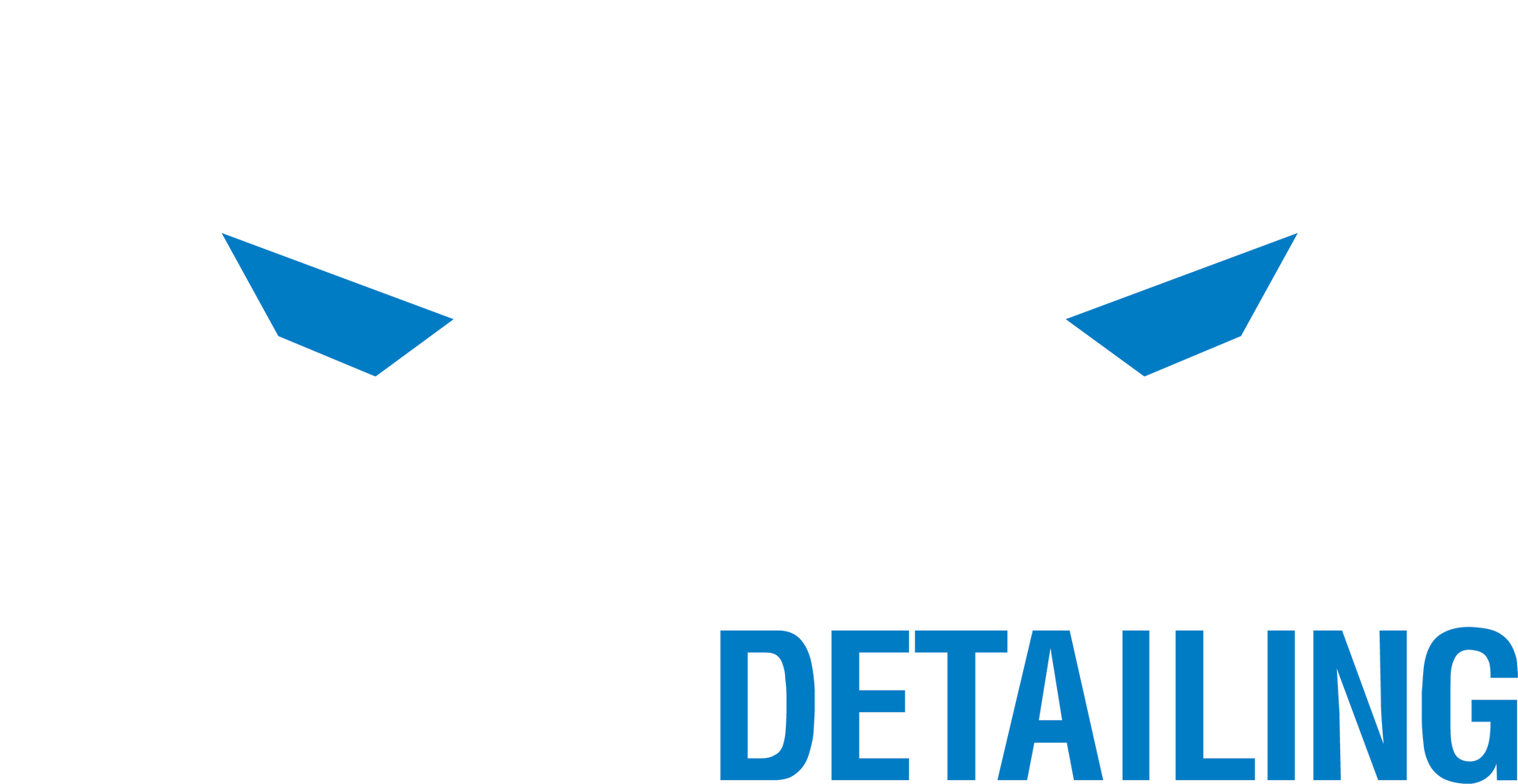 Logo T.E. Car Detailing.