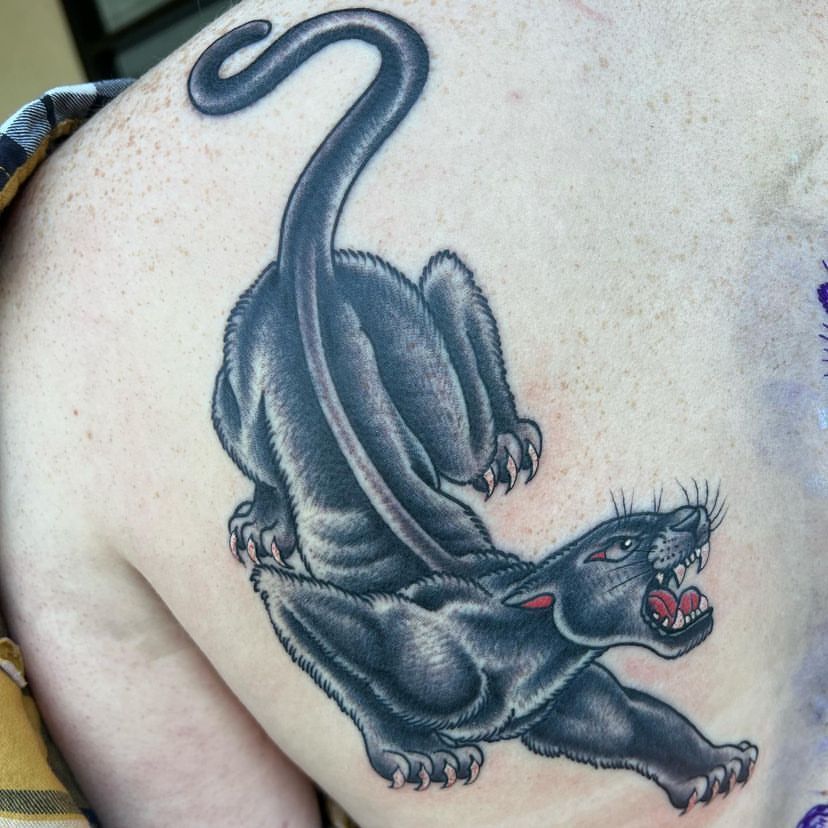 Black panther tattoo crouching and snarling on a shoulder, with a long curled tail.