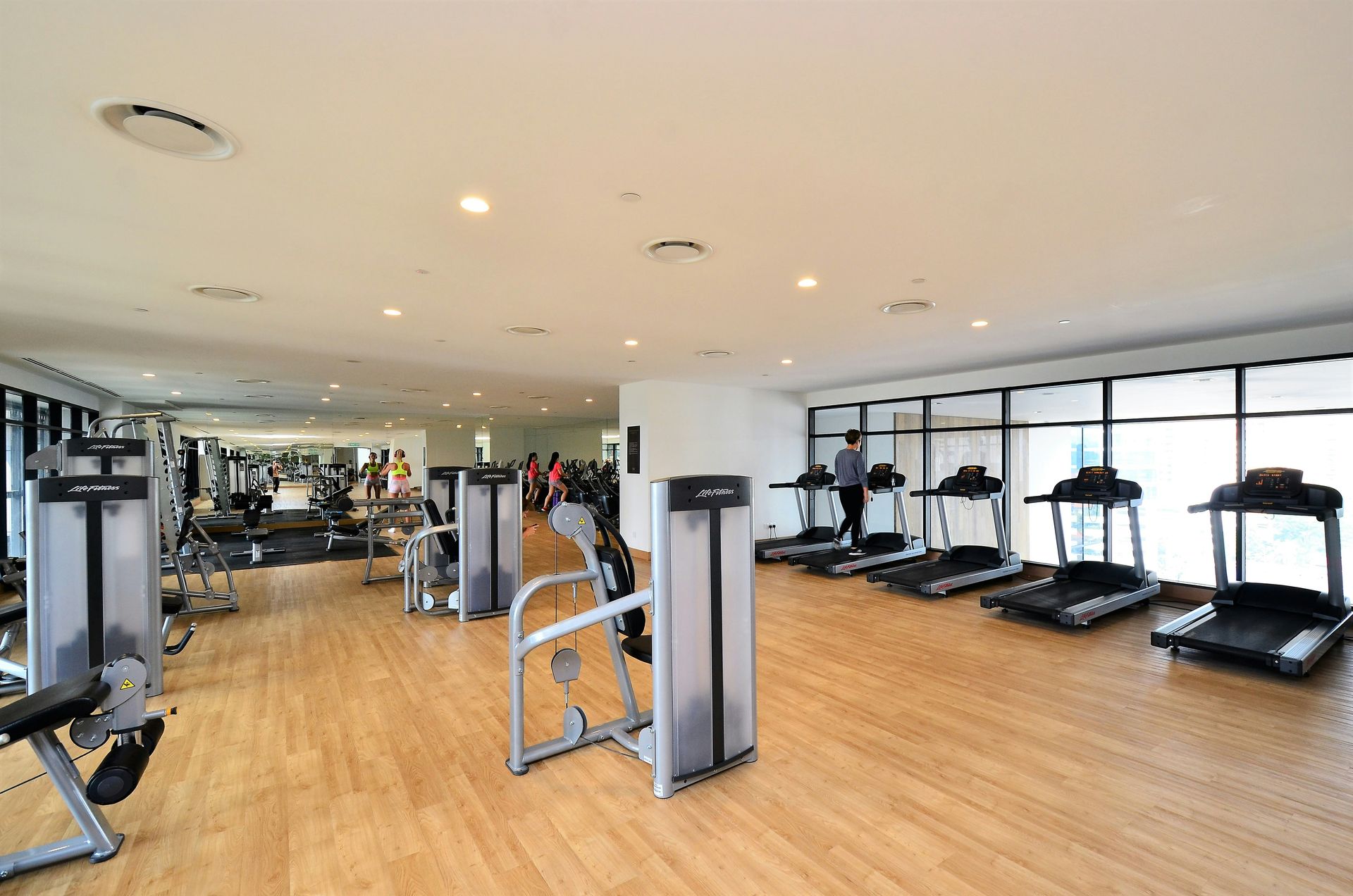 Gym with cardio and weight machines. Treadmills and windows line one wall.