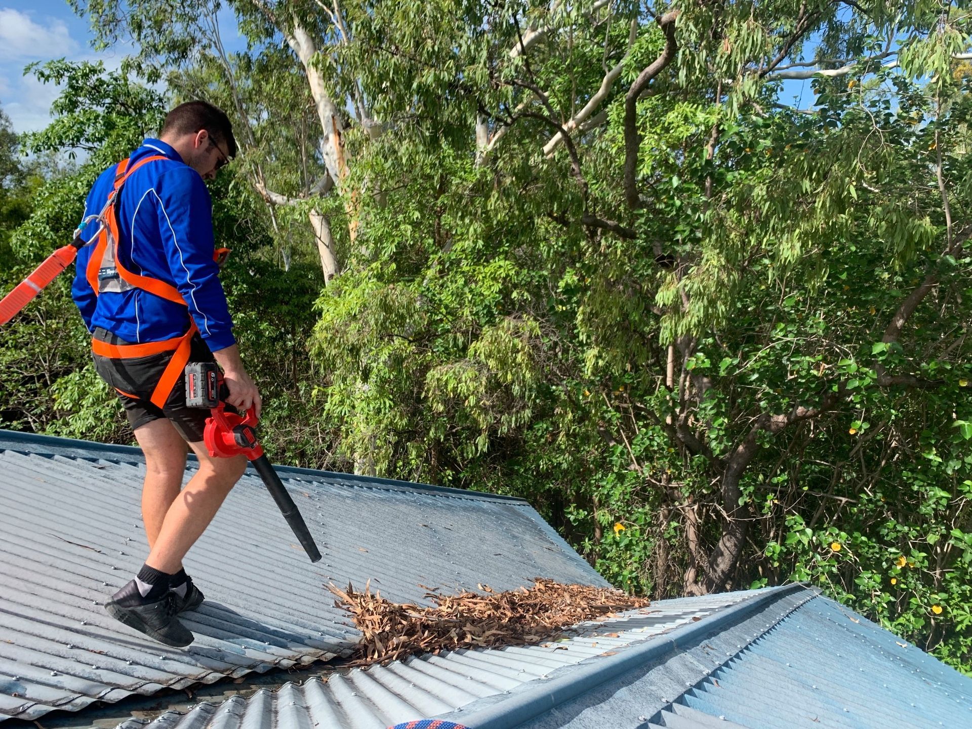 A man is standing on top of a roof using a blower.