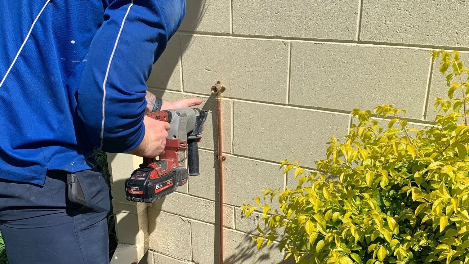 Plumbing Membership 