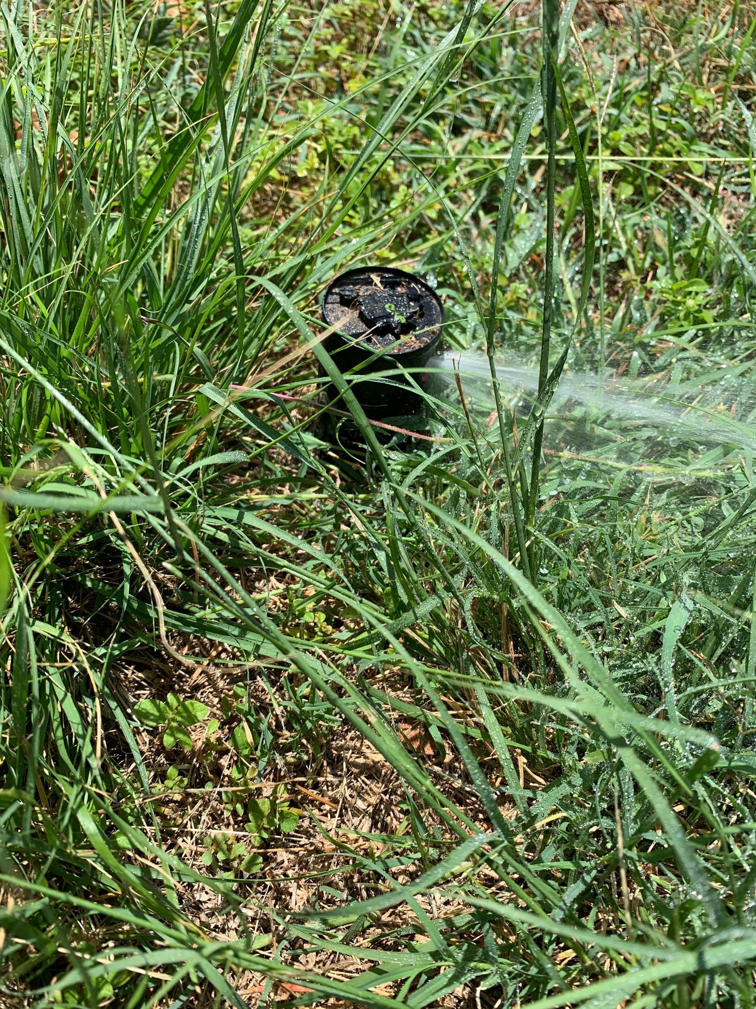 A well-installed irrigation system in a residential garden.