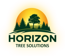 A large tree with green leaves above the words 