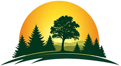 Sunrise over a tree and forest with a rolling hillside and a stylized sun.