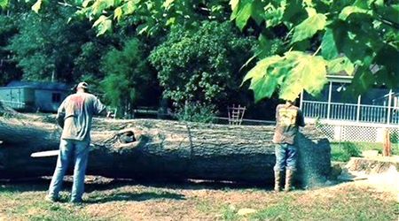 Two people sawing a large log on a grassy lawn with trees and a house in the background.