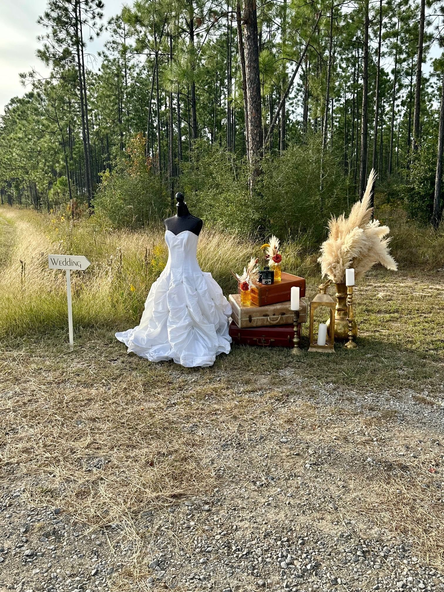 A wedding dress is sitting on a mannequin in the middle of a field.
