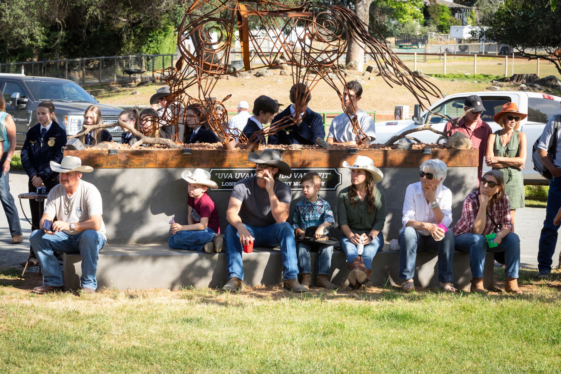 Mayo Ranch in Northern California for Equine Sports Therapy