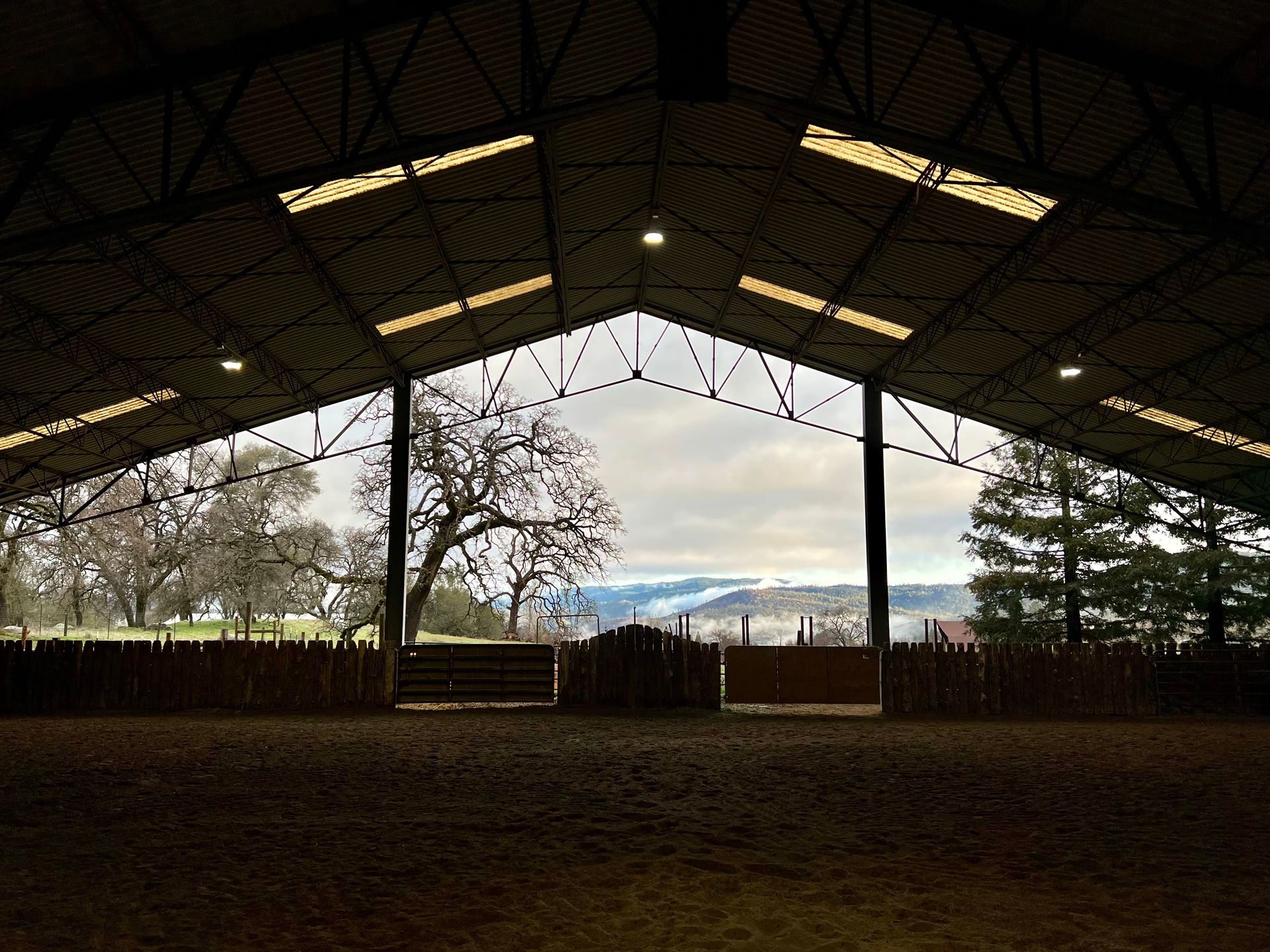 Mayo Ranch in Northern California for Equine Sports Therapy