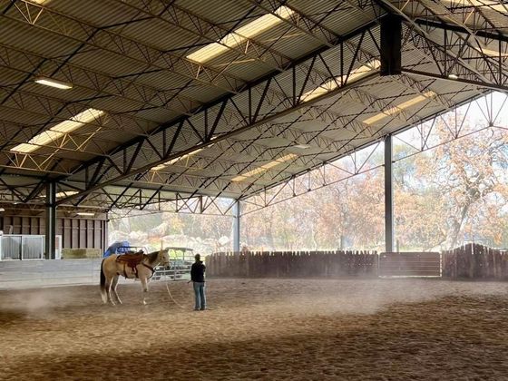 working in the arena