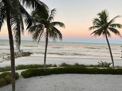 A view of the ocean from a beach with palm trees in the foreground.