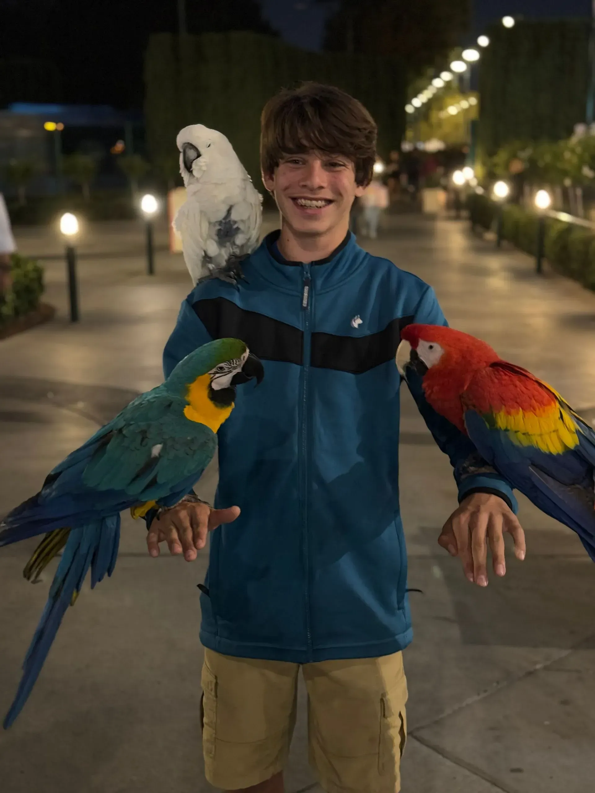 A boy in a blue nike jacket is holding two parrots