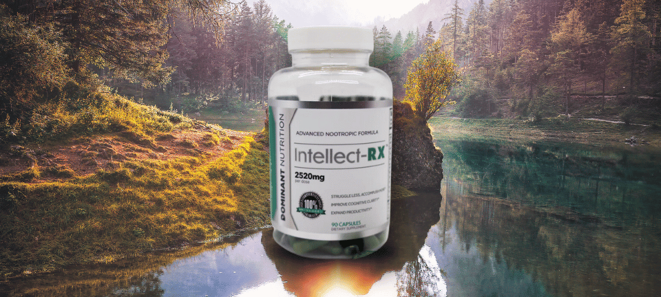 IntellectRX in a valley by a lake